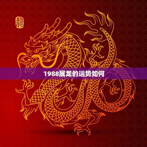 2024龍年運程1988男|1988年属龙的男生在2024全年的运势/运程详解